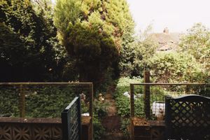 Photo 12- click for photo gallery
